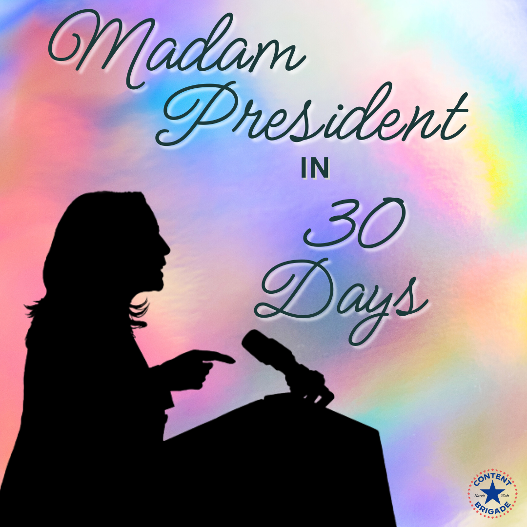 The_Democrats_-_20241005_VCC_30DaysToGo_Image_1_VCC.png